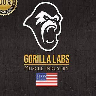 GORILLA LABS