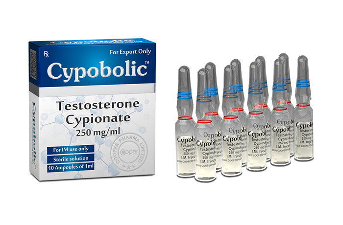 Cypobolic- Testosterone Cypionate Cooper Pharma 250mg